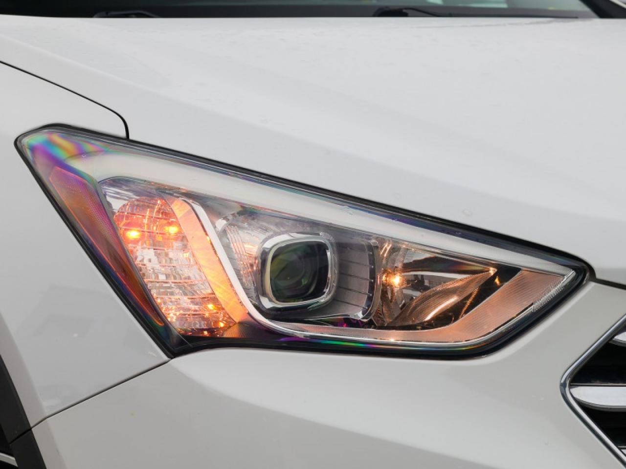 2014 Hyundai Santa Fe XL - $192 B/W Photo