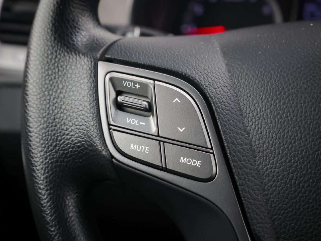 2014 Hyundai Santa Fe XL - $192 B/W Photo