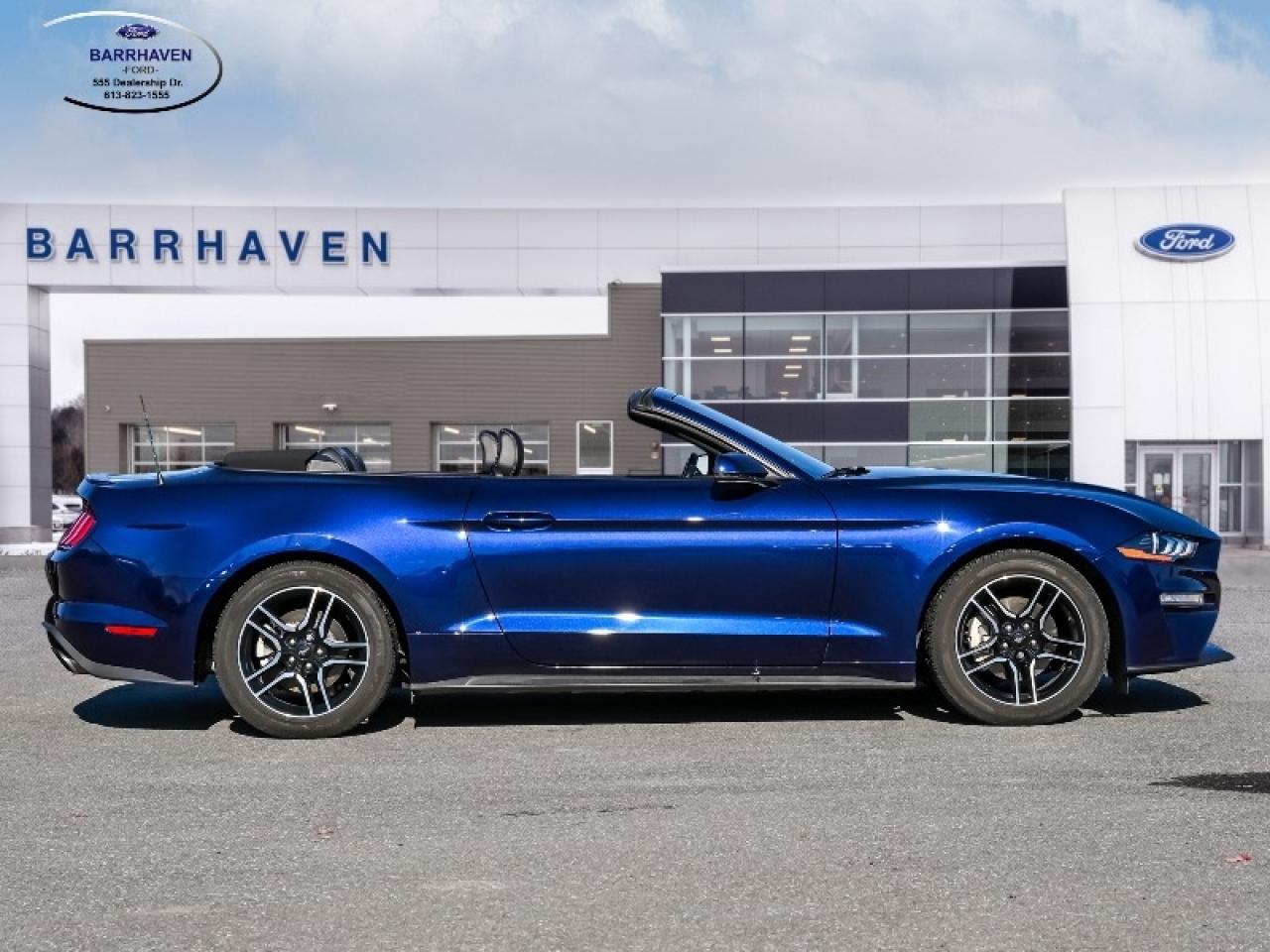 2020 Ford Mustang EcoBoost Premium Photo