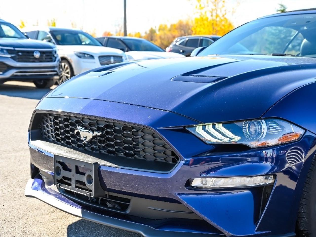 2020 Ford Mustang EcoBoost Premium Photo