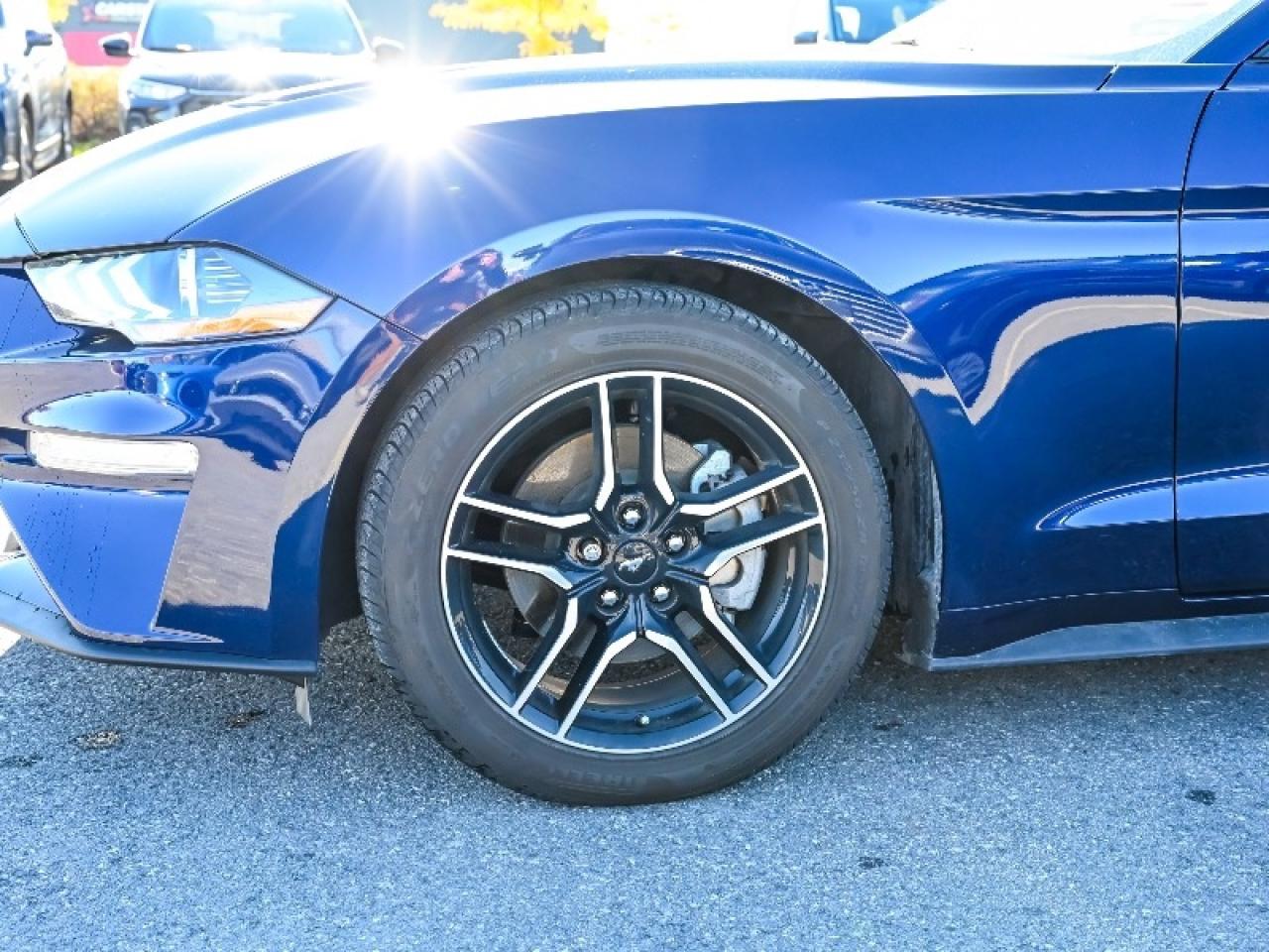 2020 Ford Mustang EcoBoost Premium Photo