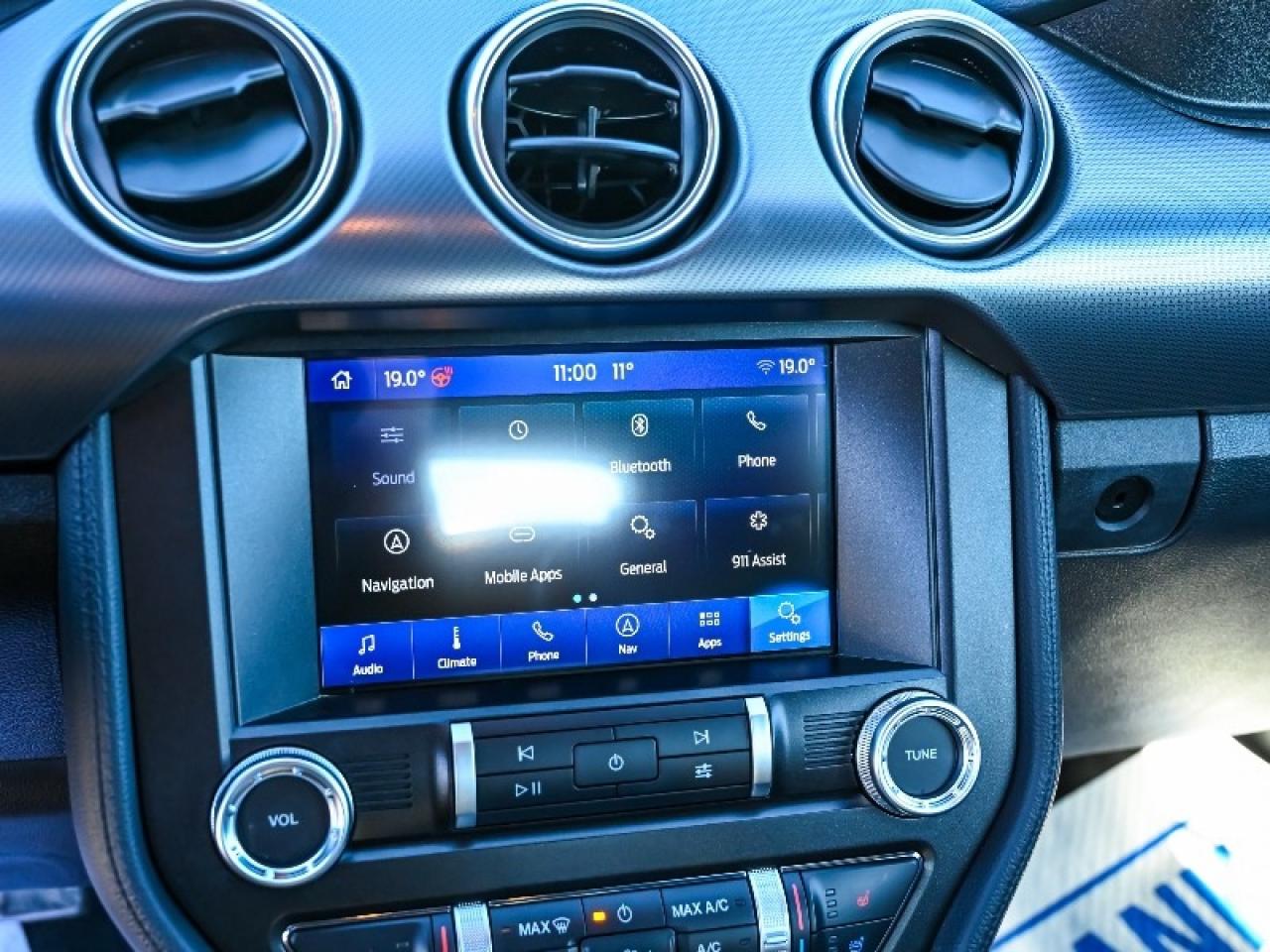 2020 Ford Mustang EcoBoost Premium Photo