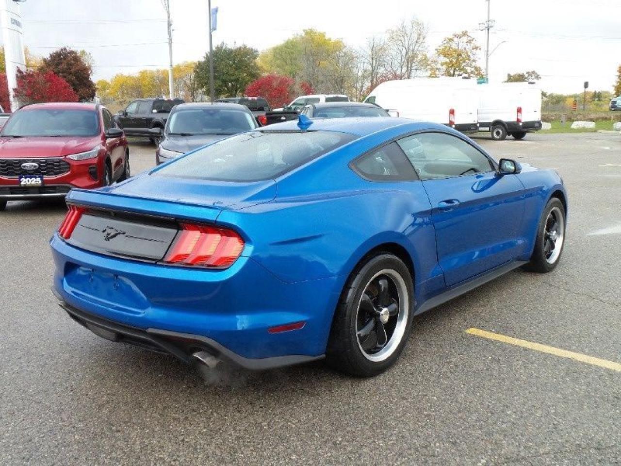 2020 Ford Mustang EcoBoost Photo5