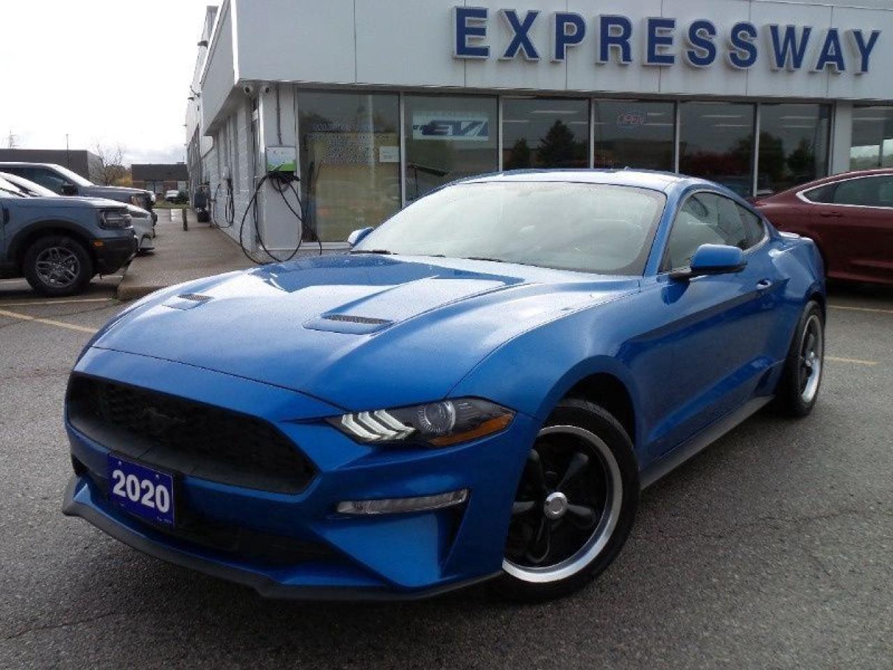2020 Ford Mustang EcoBoost Photo0