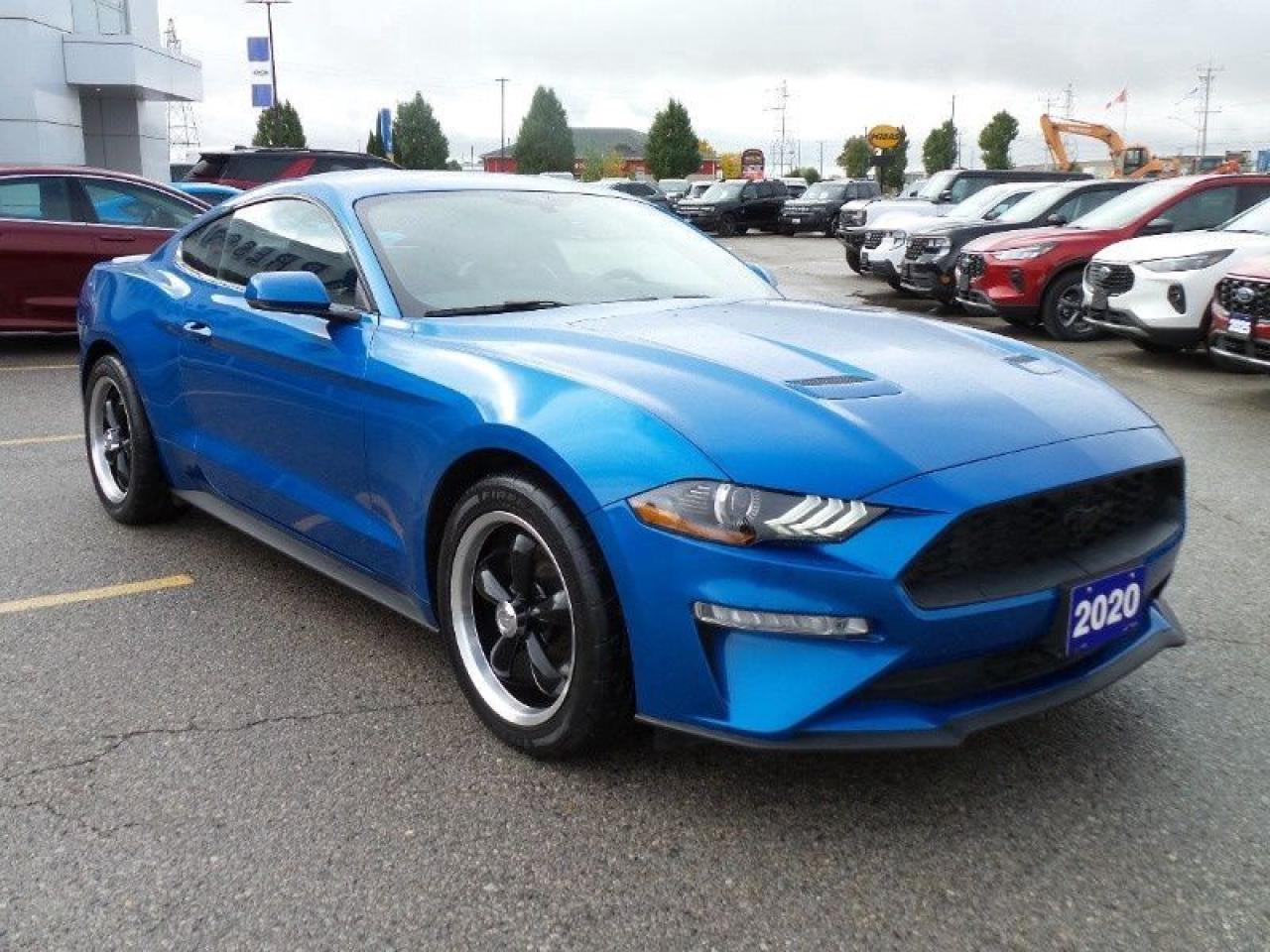 2020 Ford Mustang EcoBoost Photo2