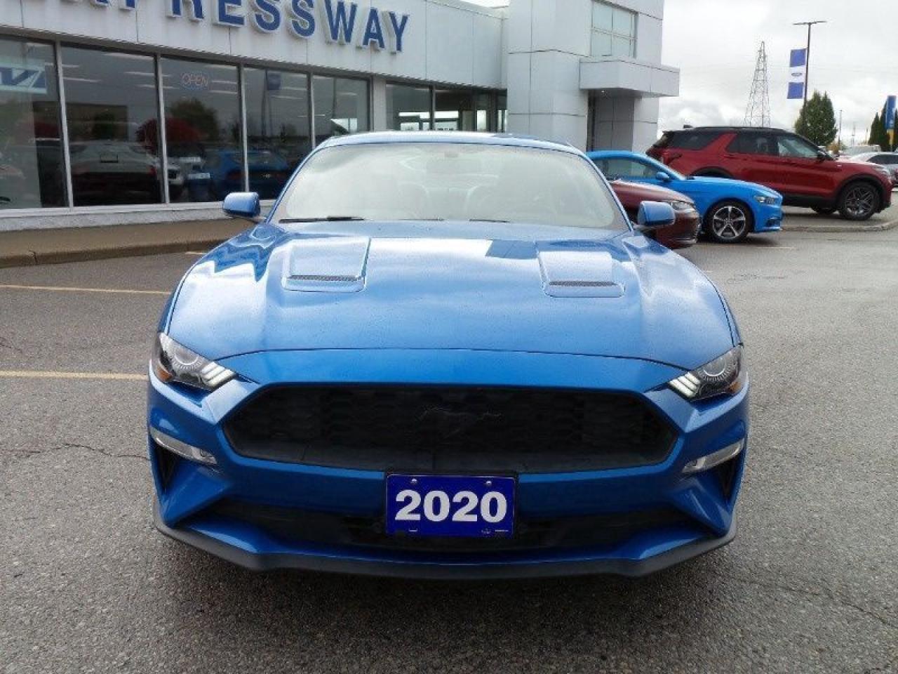 2020 Ford Mustang EcoBoost Photo