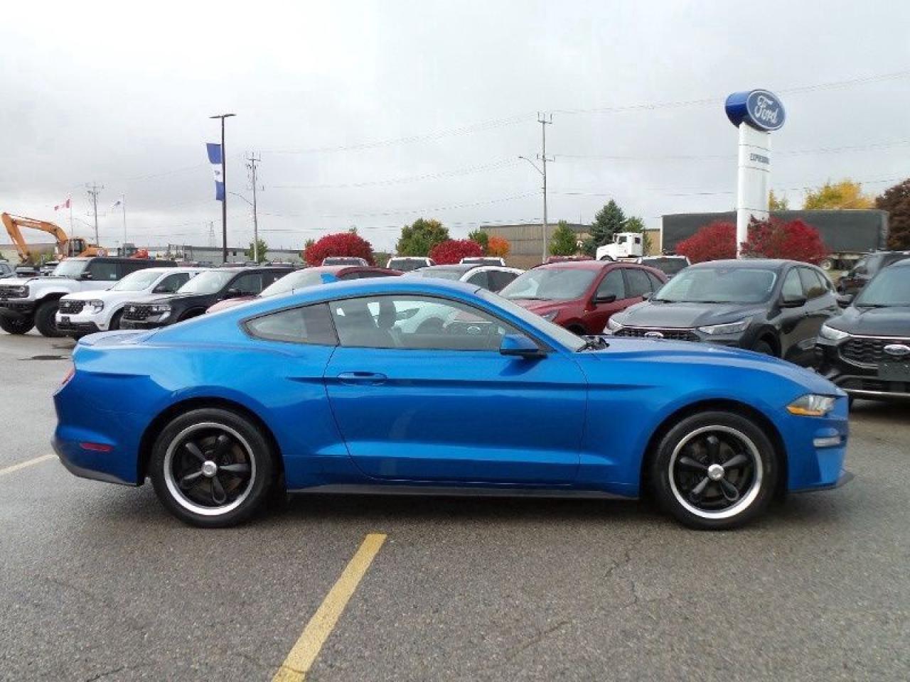 2020 Ford Mustang EcoBoost Photo