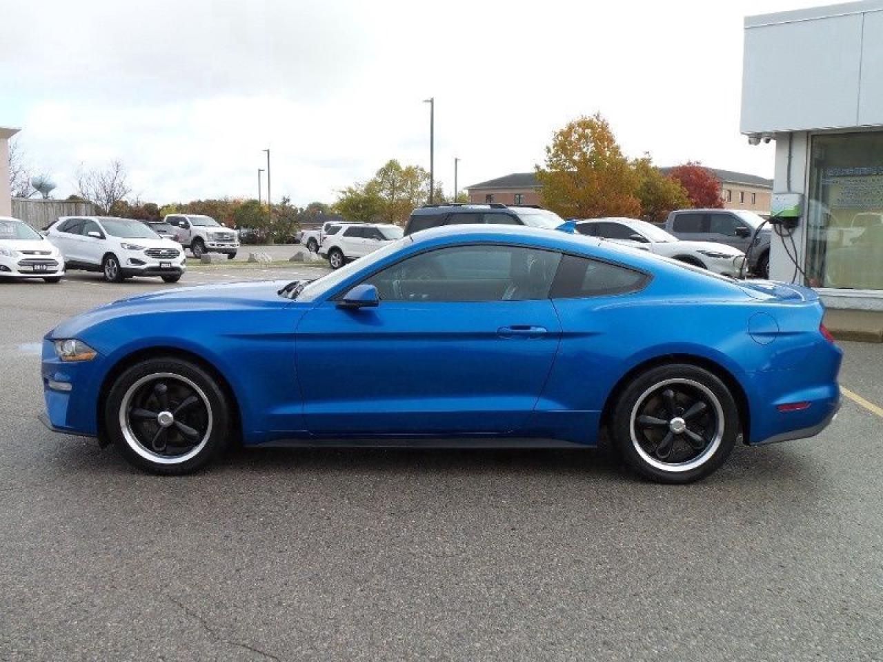 2020 Ford Mustang EcoBoost Photo5