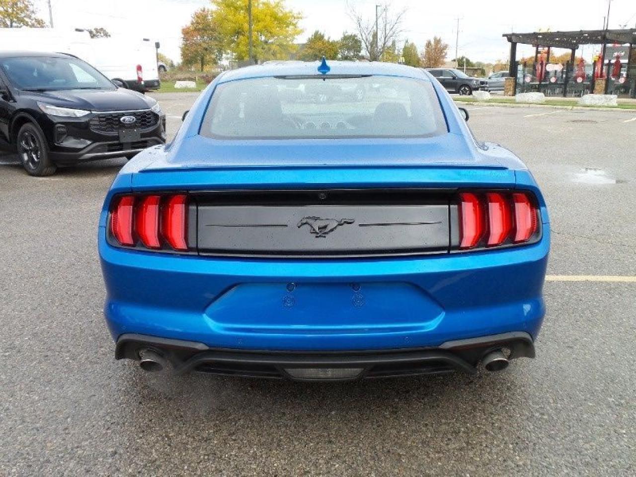 2020 Ford Mustang EcoBoost Photo5