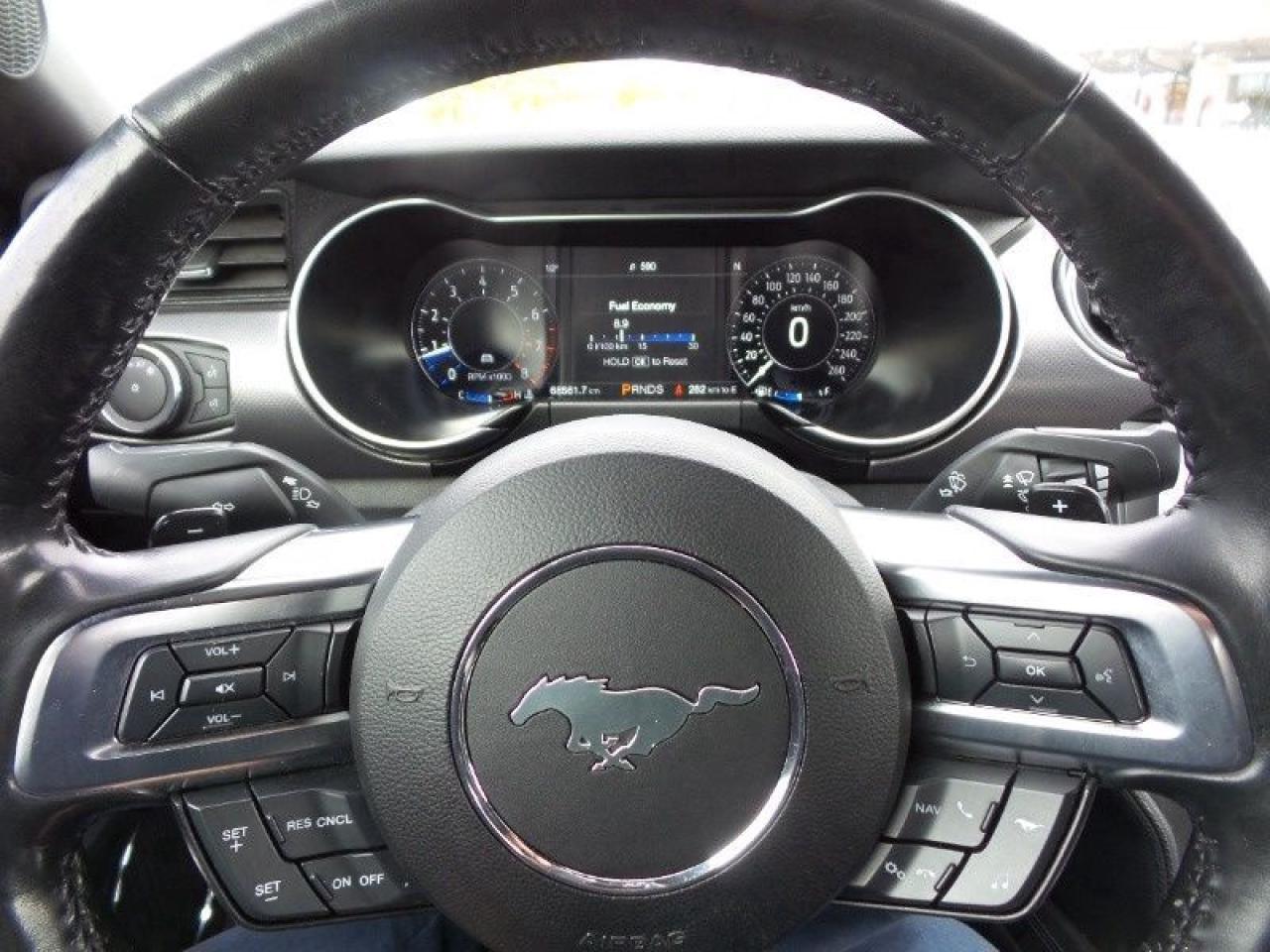 2020 Ford Mustang EcoBoost Photo5