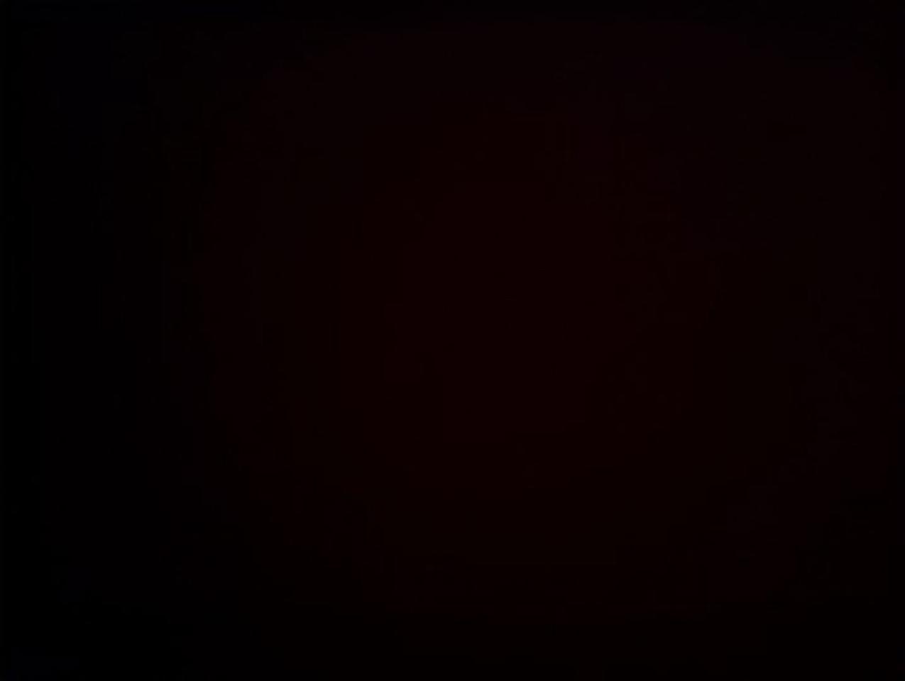 13096058