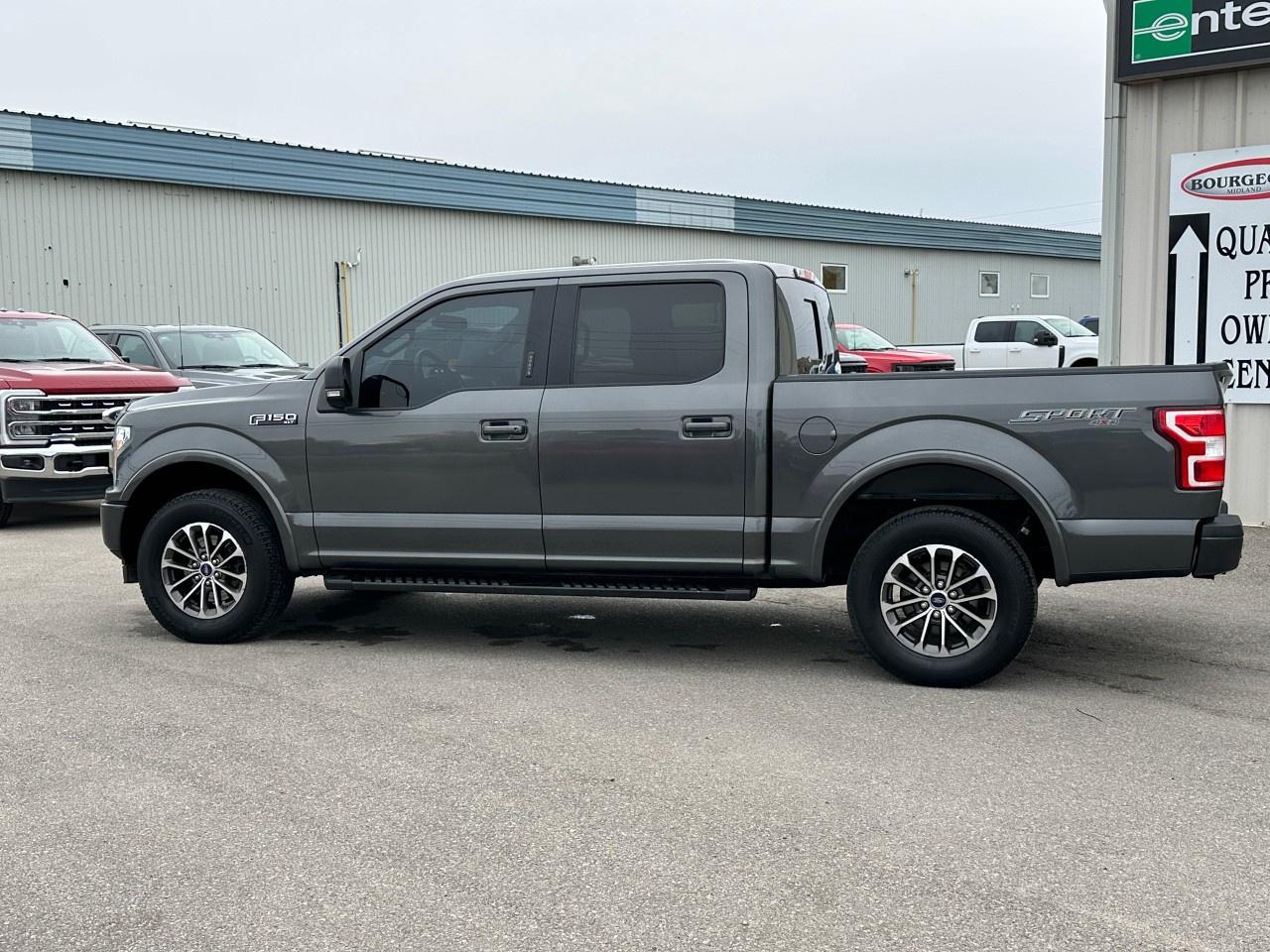 2019 Ford F-150 XLT 4WD SuperCrew 5.5' Box Photo