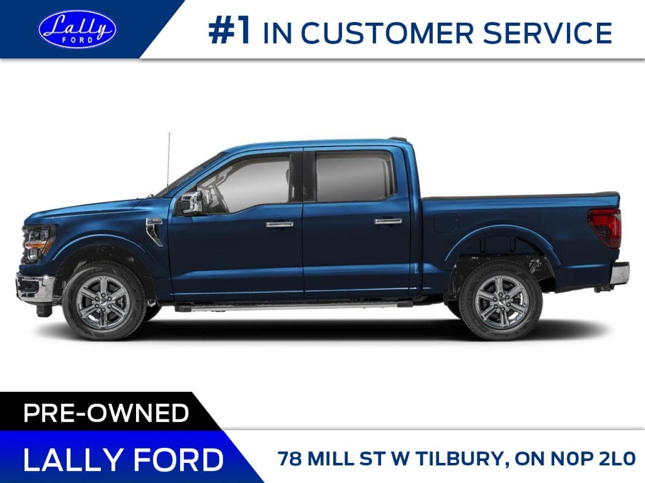 2025 Ford F-150 XLT Photo