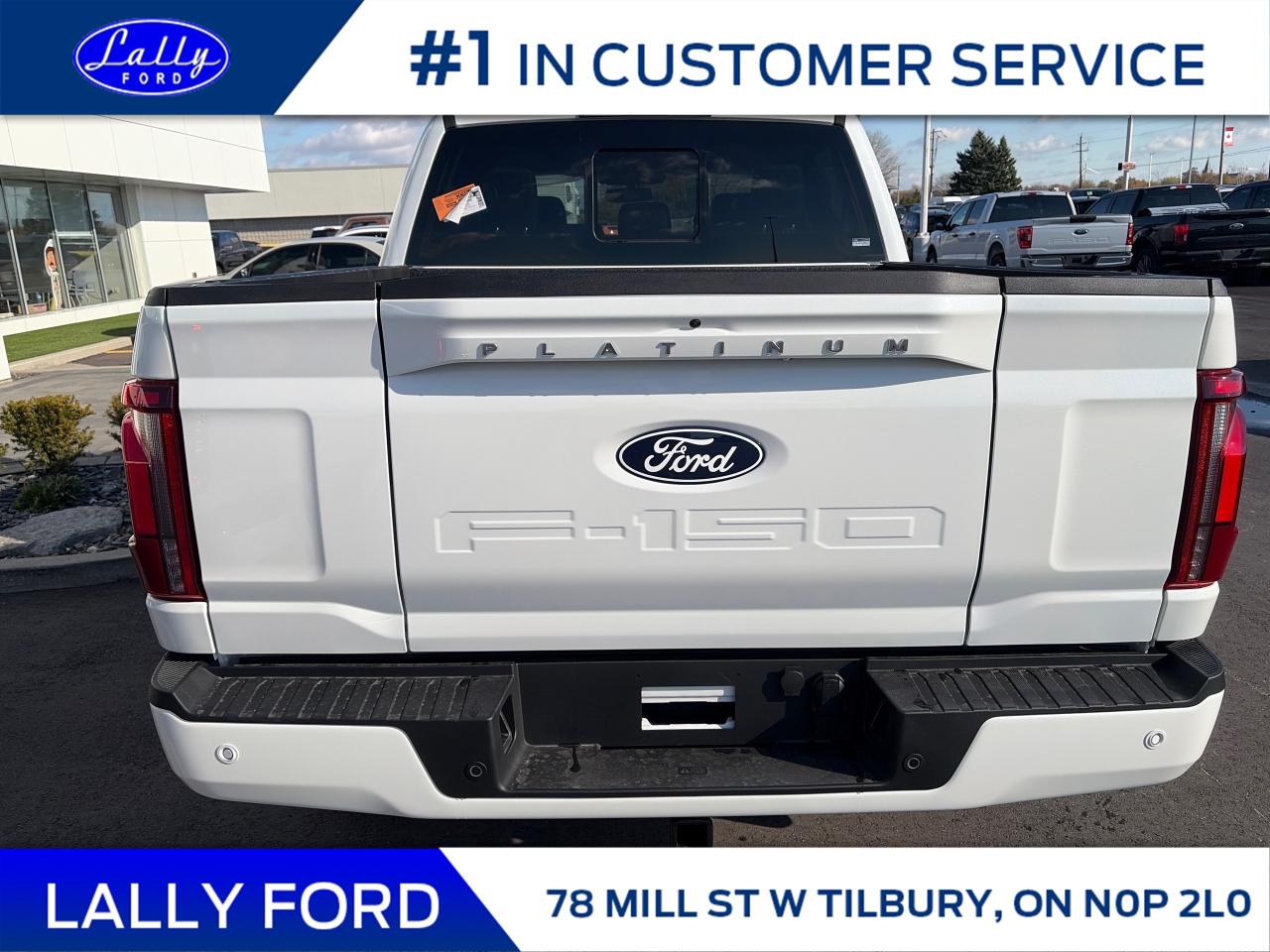 2025 Ford F-150 Platinum Photo3