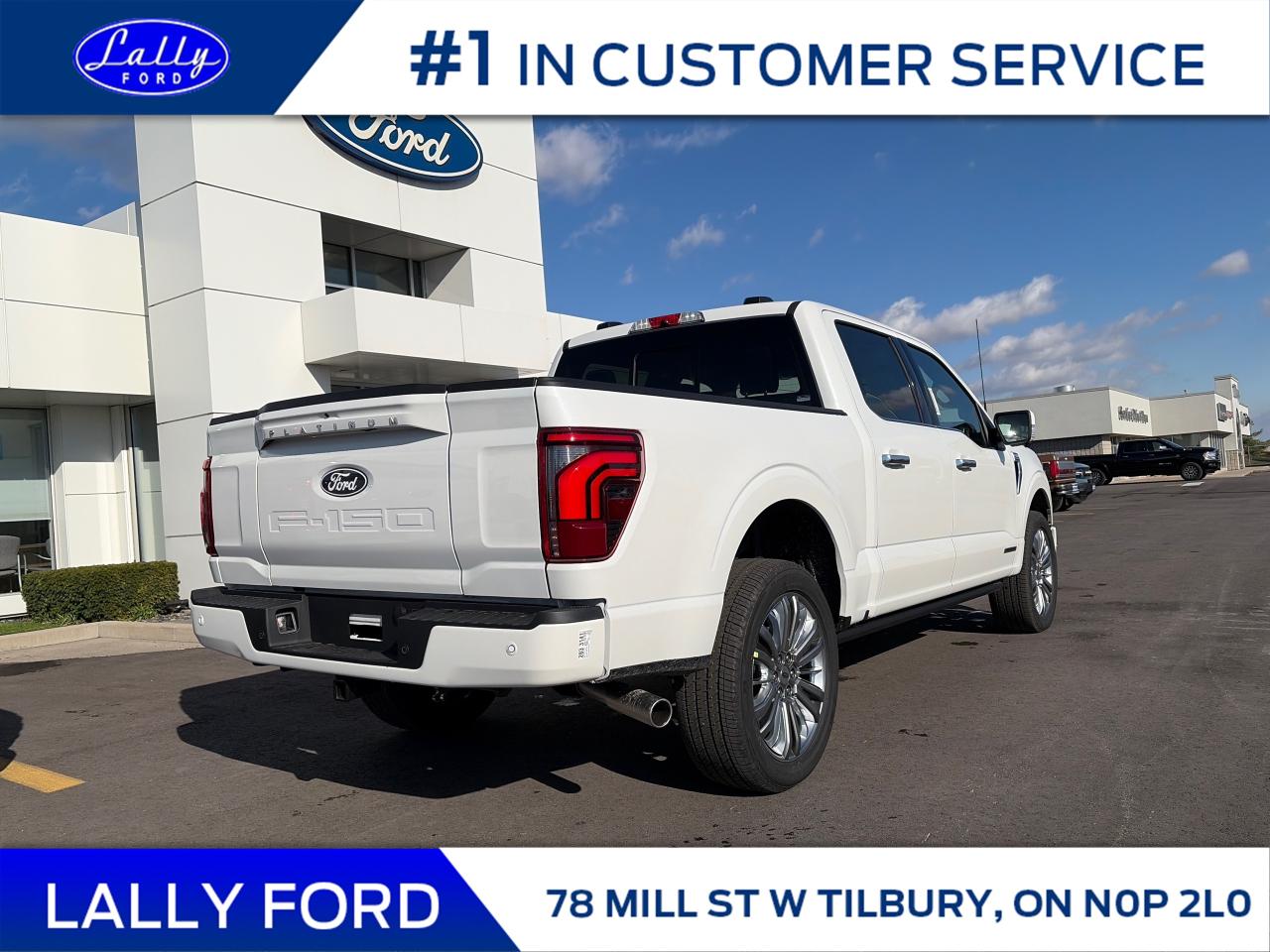 2025 Ford F-150 Platinum Photo2