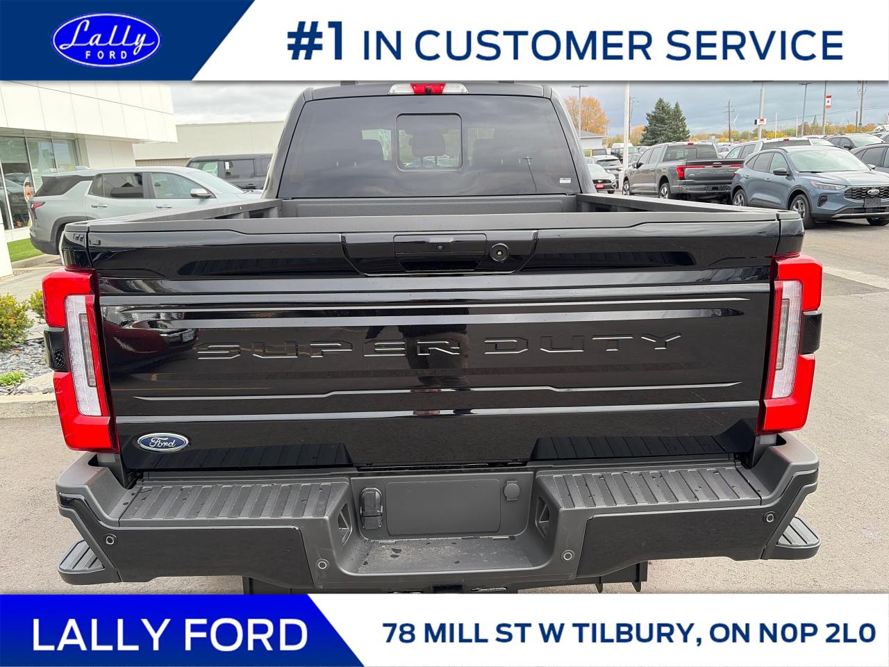 2026 Ford F-250 Platinum Photo3