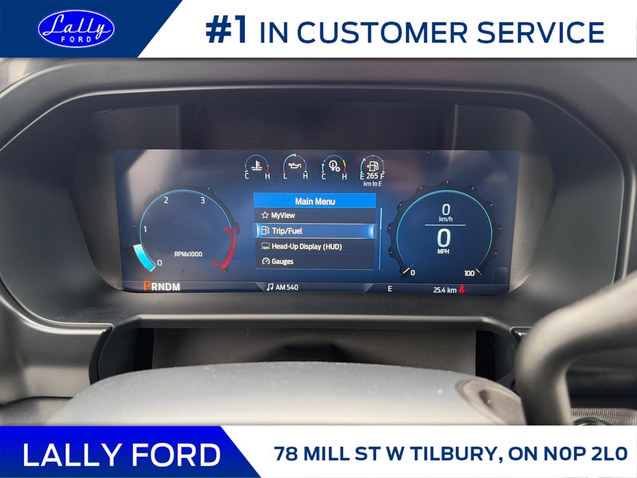 2026 Ford F-250 Platinum Photo