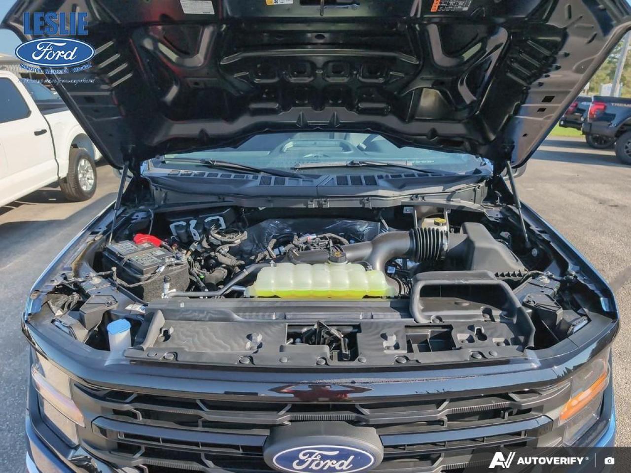 2025 Ford F-150 XLT SuperCrew 300A 4x4 Photo