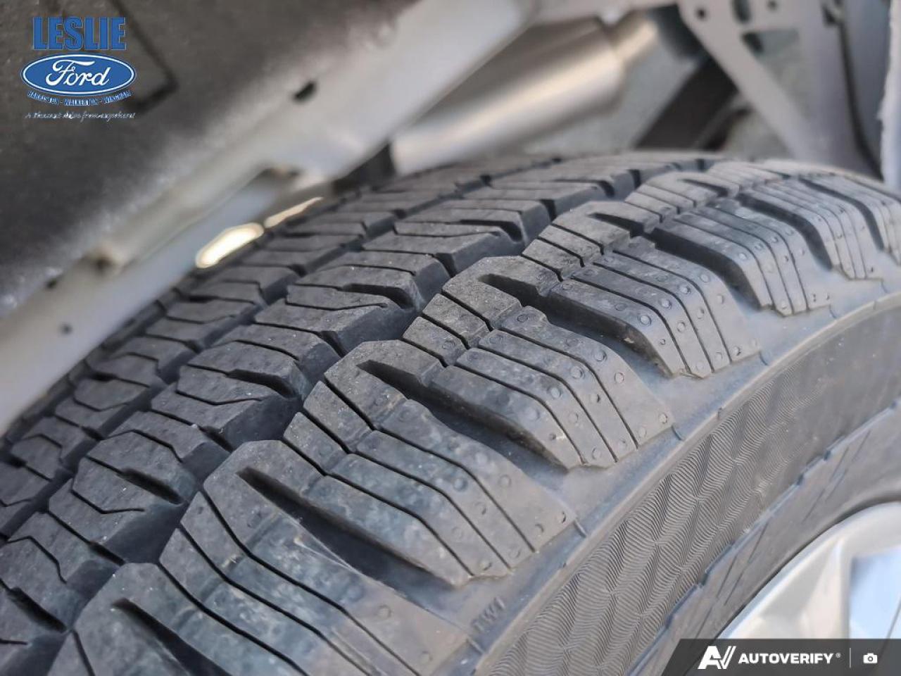 2025 Ford Transit Medium Roof 250 Cargo RWD Photo