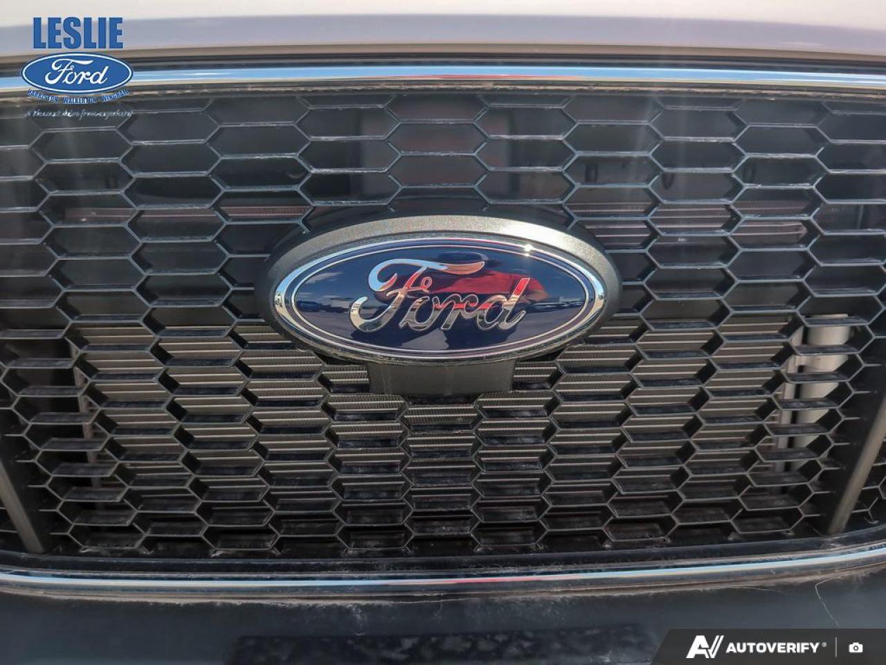 2025 Ford Transit Medium Roof 250 Cargo RWD Photo