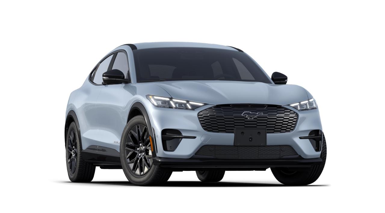 2025 Ford Mustang Mach-E Premium 300A Photo