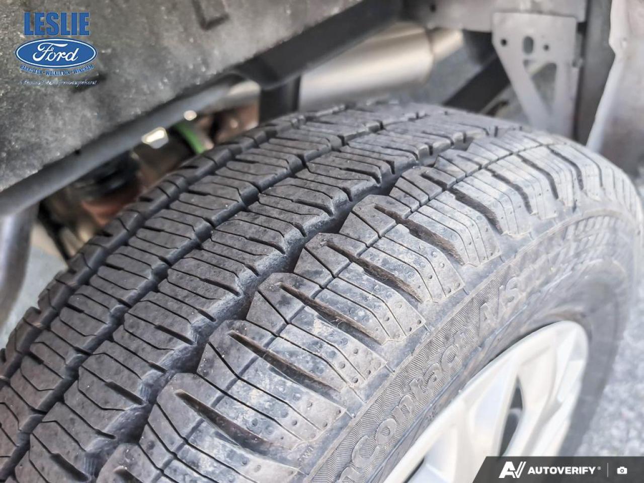 2025 Ford Transit Medium Roof 250 Cargo RWD Photo