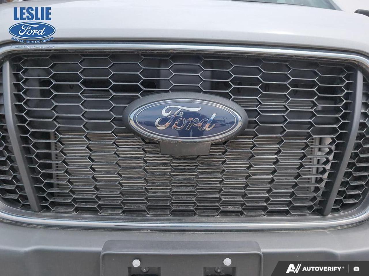 2024 Ford Transit Regular Roof 250 Cargo RWD Photo