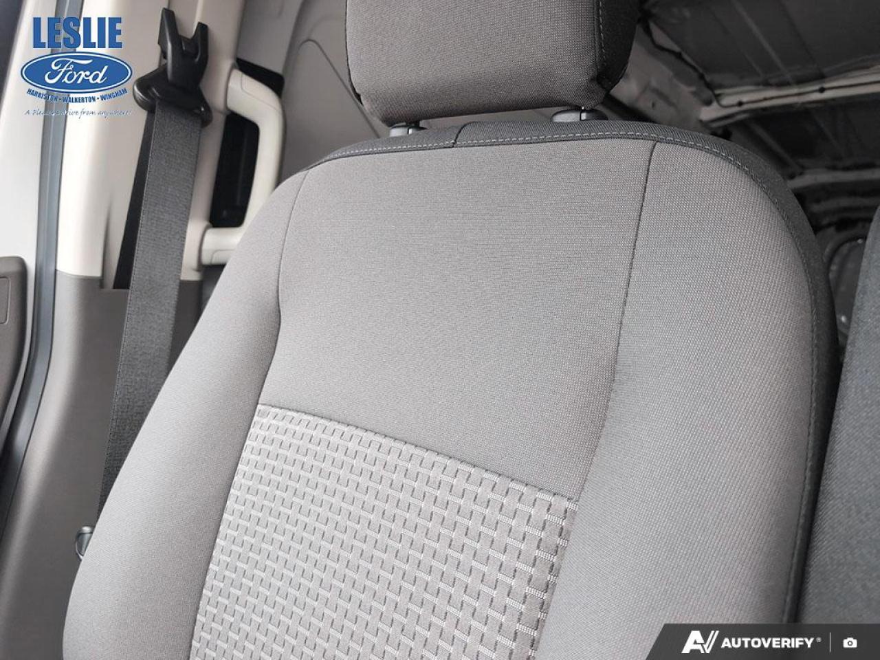 2024 Ford Transit Regular Roof 250 Cargo RWD Photo