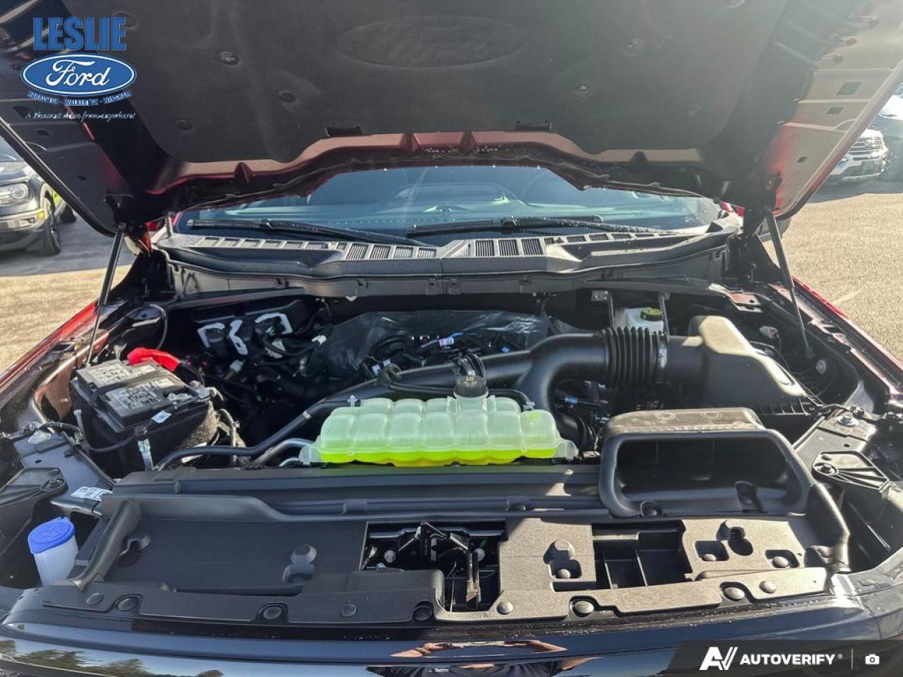 2025 Ford F-150 XLT SuperCrew 302A 4x4 Photo