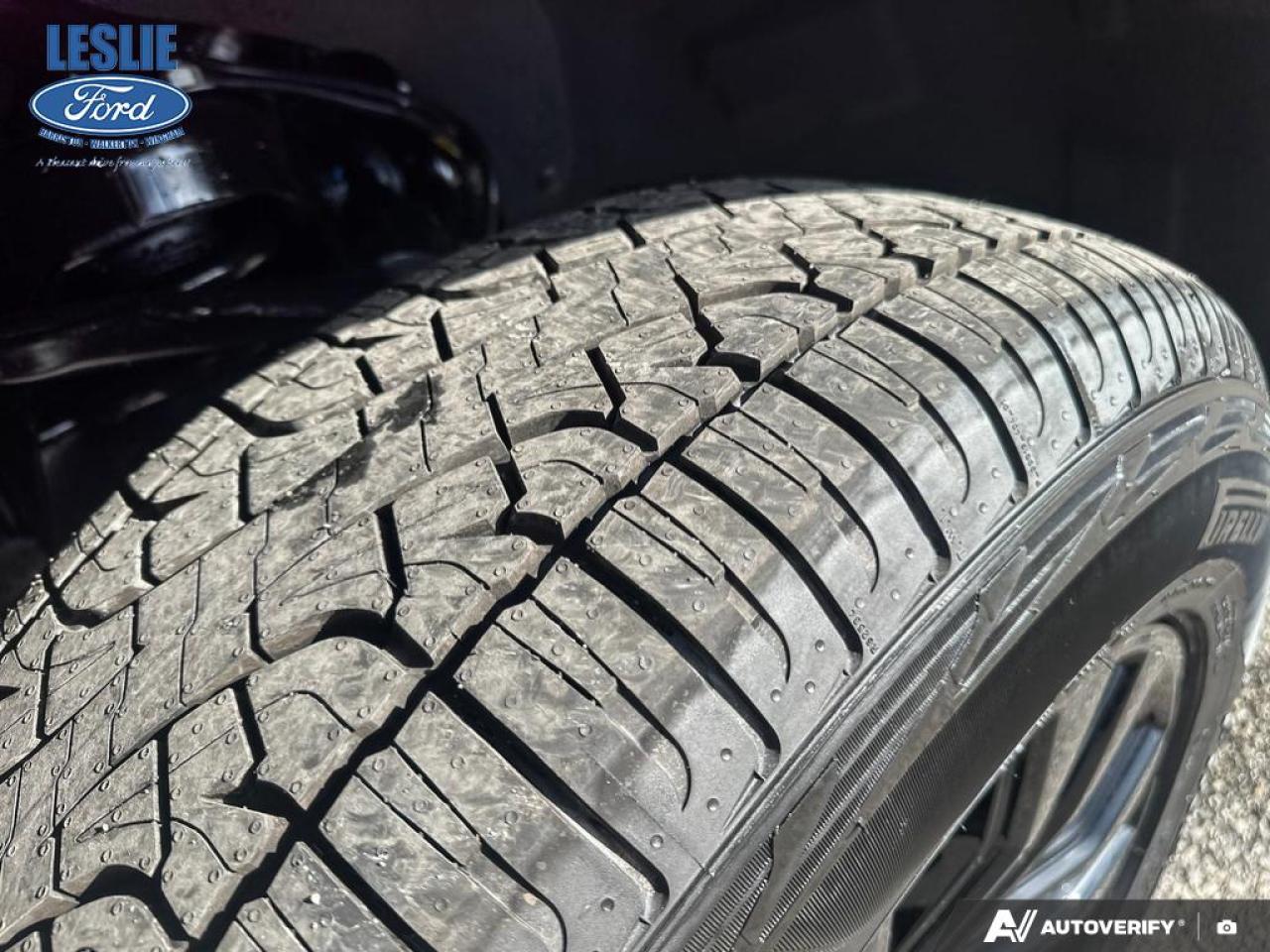 2025 Ford F-150 XLT SuperCrew 302A 4x4 Photo