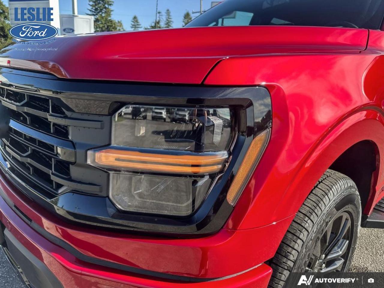 2025 Ford F-150 XLT SuperCrew 302A 4x4 Photo