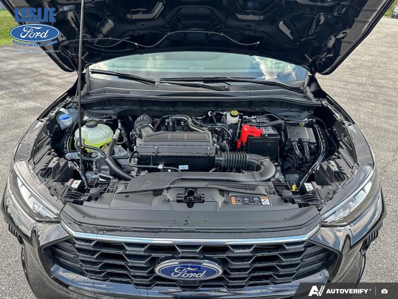 2025 Ford Escape ST-Line AWD Photo