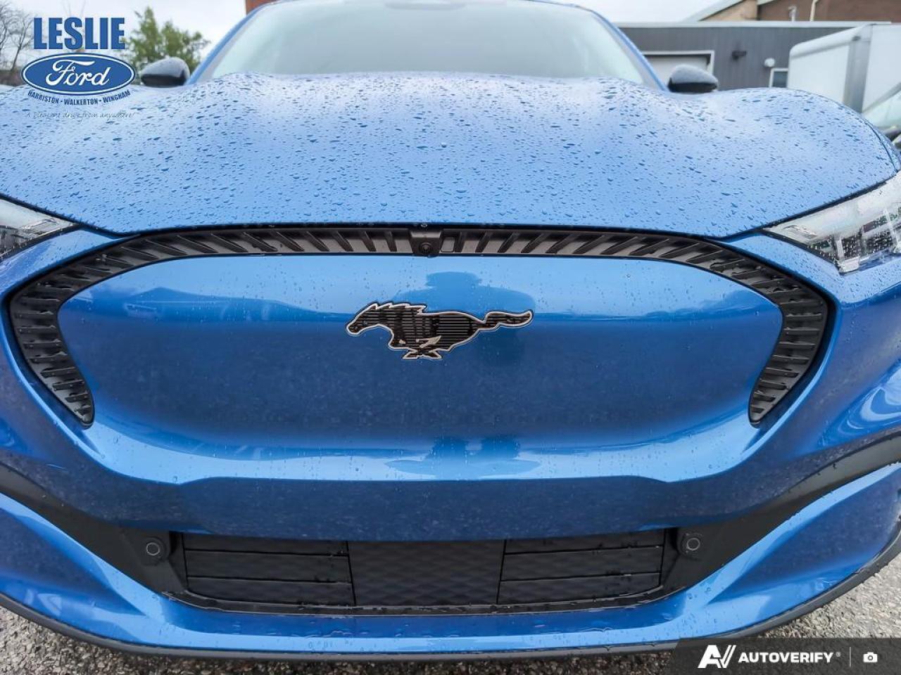 2025 Ford Mustang Mach-E Select 100A Photo