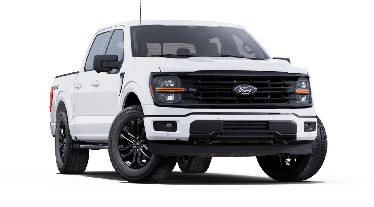 2025 Ford F-150 XLT Supercrew Black Pack 303A 4x4 Photo