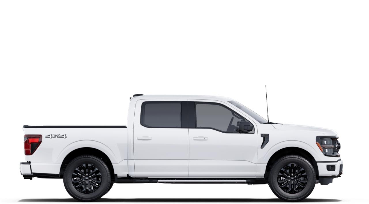 2025 Ford F-150 XLT Supercrew Black Pack 303A 4x4 Photo