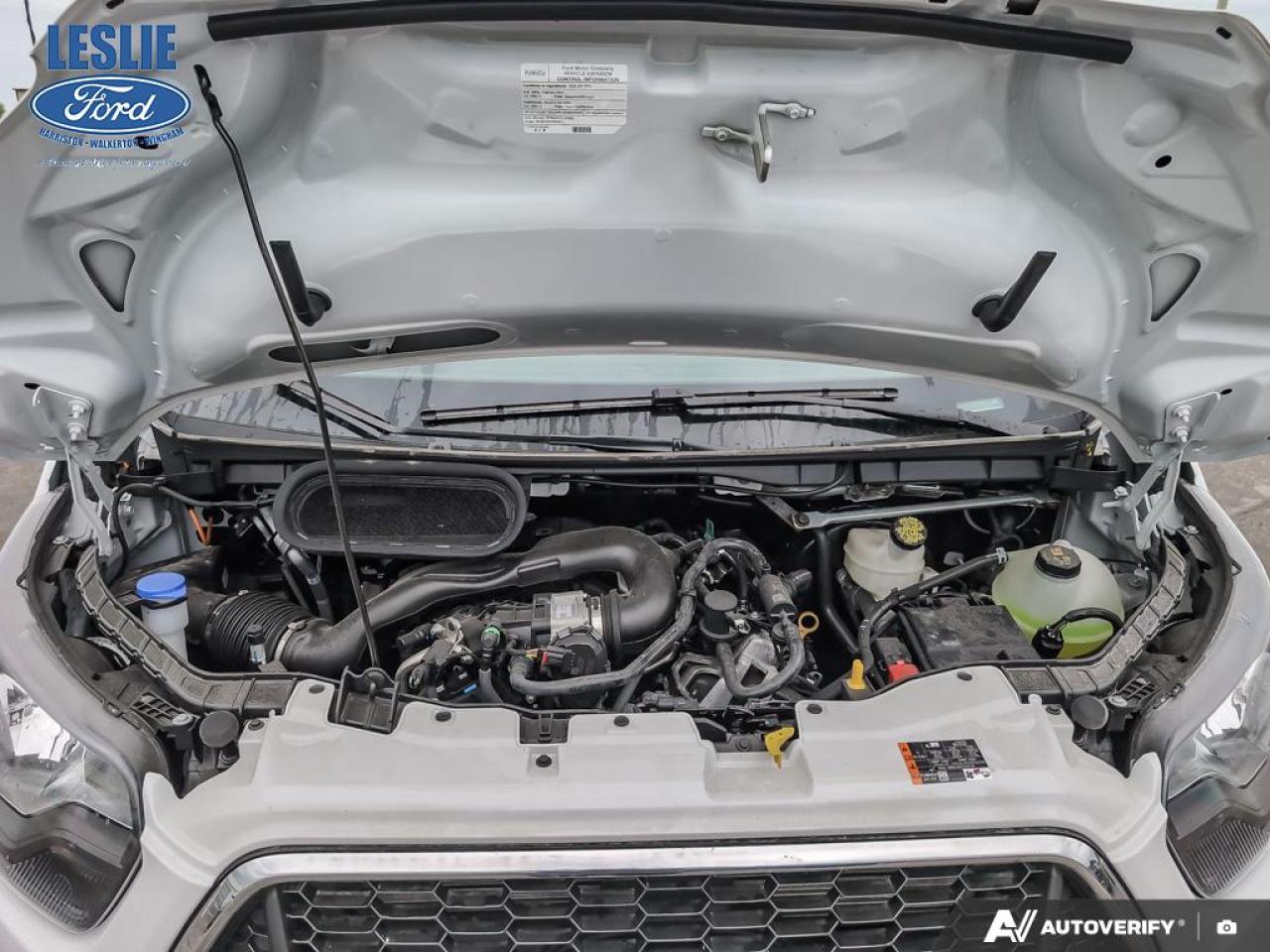 2025 Ford Transit Medium Roof 250 Cargo RWD Photo