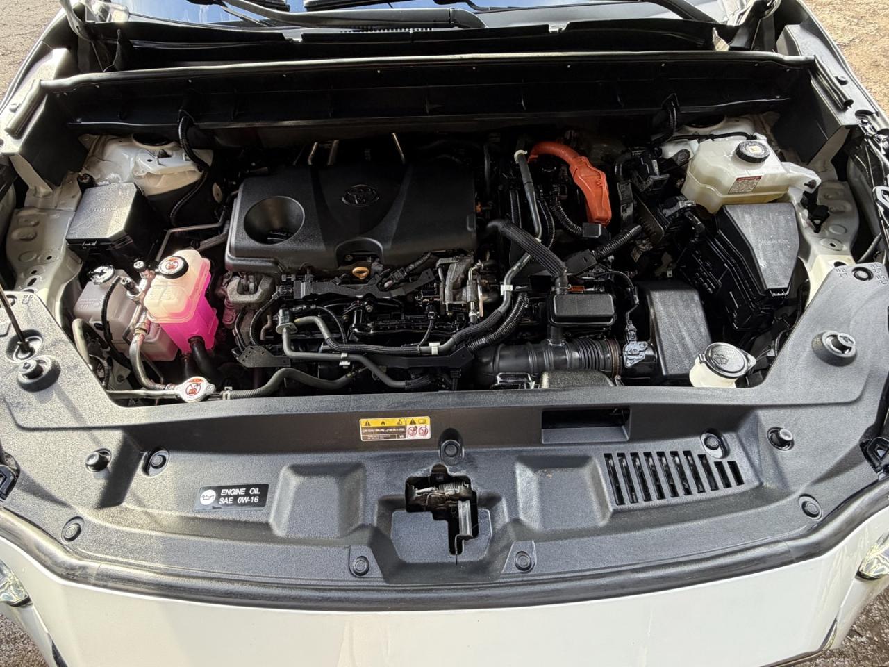 2020 Toyota Highlander HYBRID Limited AWD - Photo #10