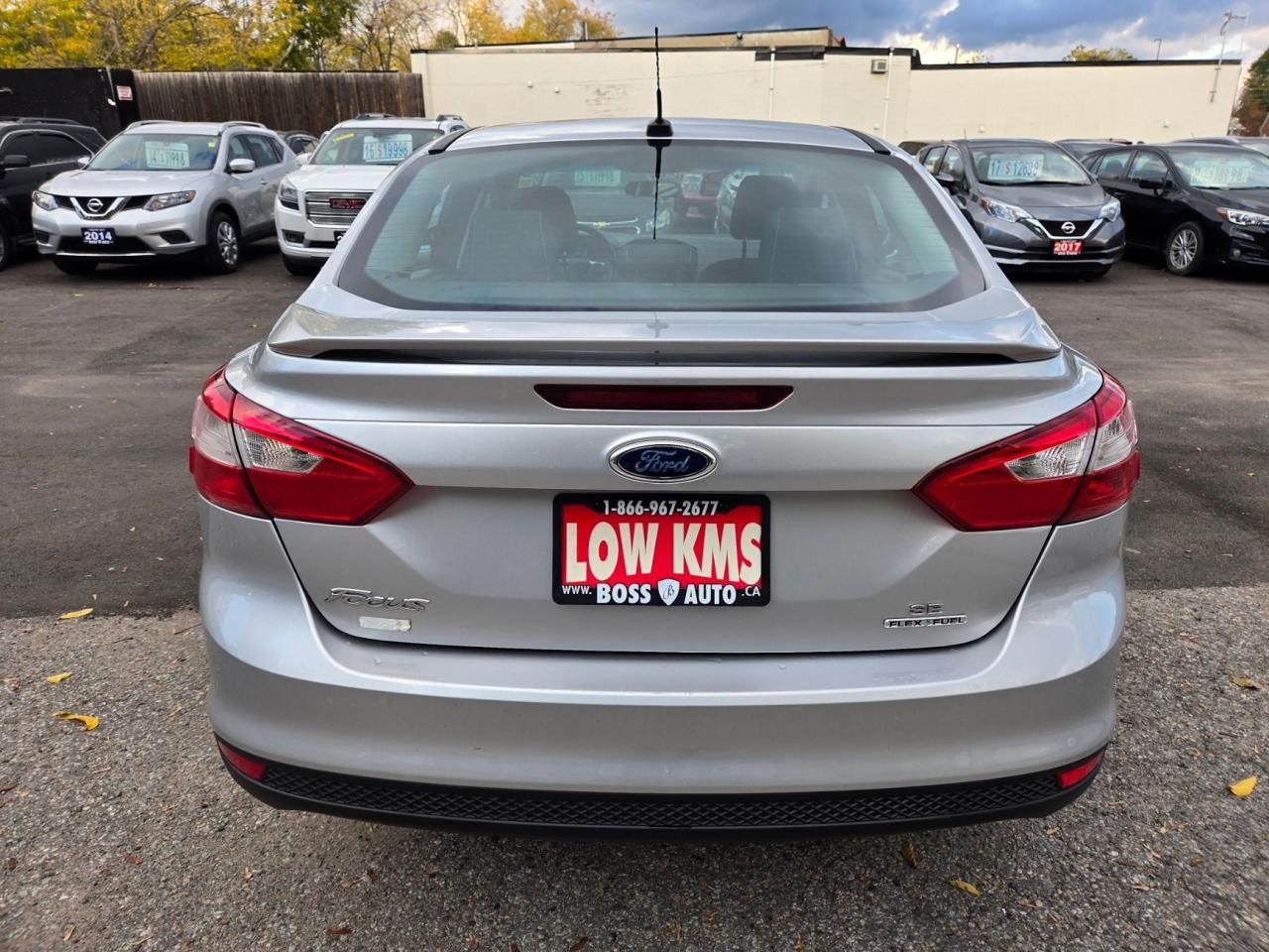 2014 Ford Focus SE Photo3