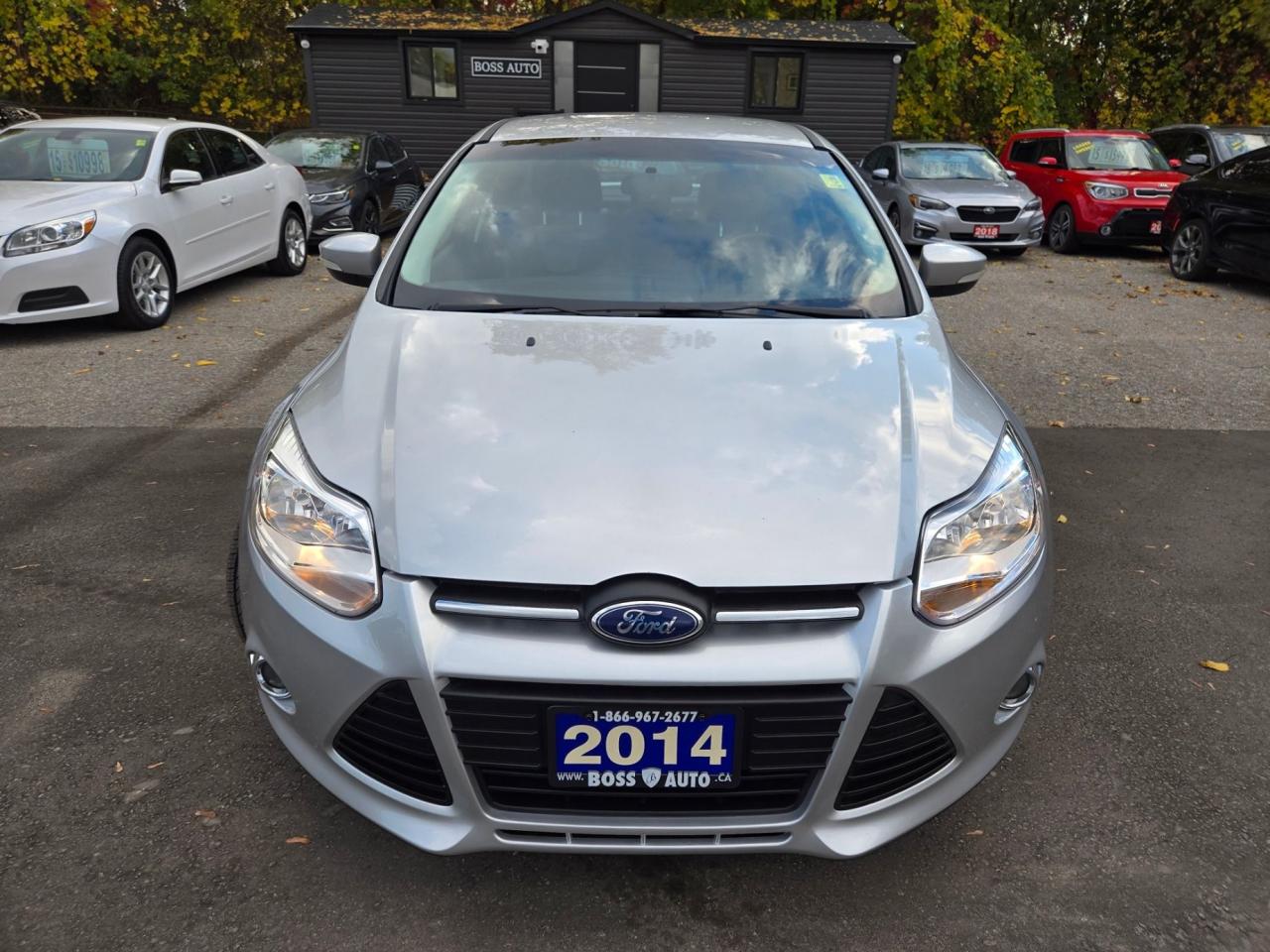 2014 Ford Focus SE Photo