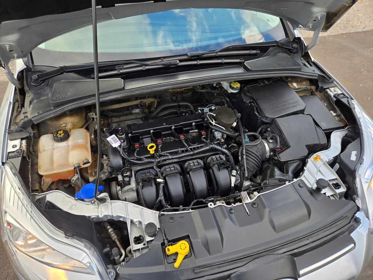 2014 Ford Focus SE Photo