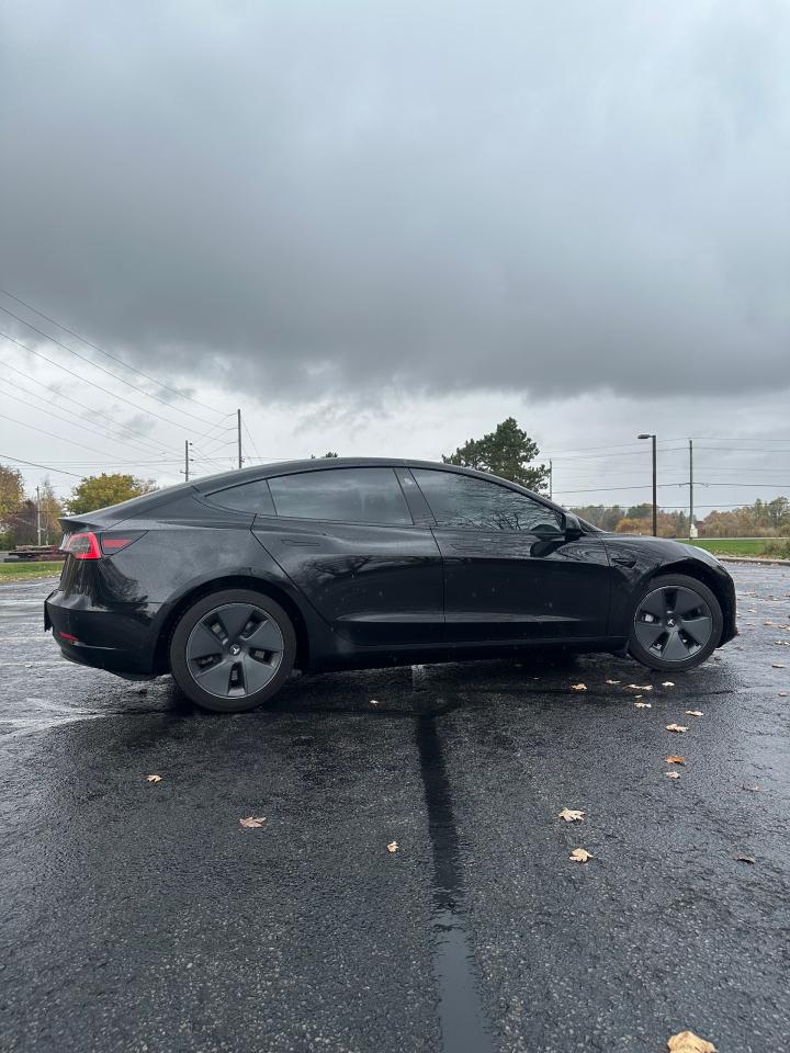 2021 Tesla Model 3 STANDARD RANGE PLUS Photo3