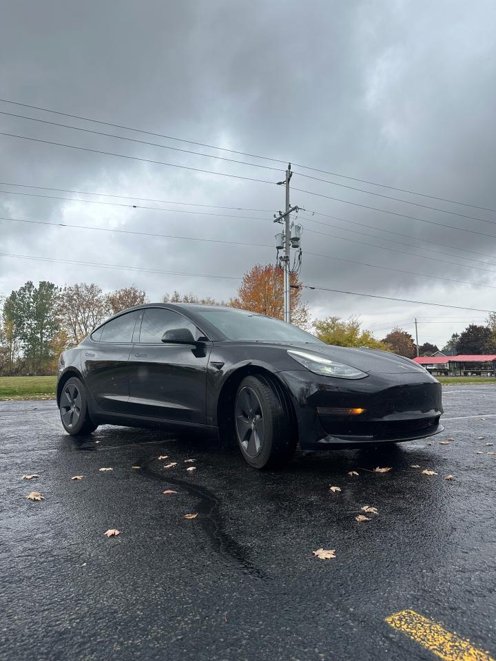 2021 Tesla Model 3 STANDARD RANGE PLUS Photo2