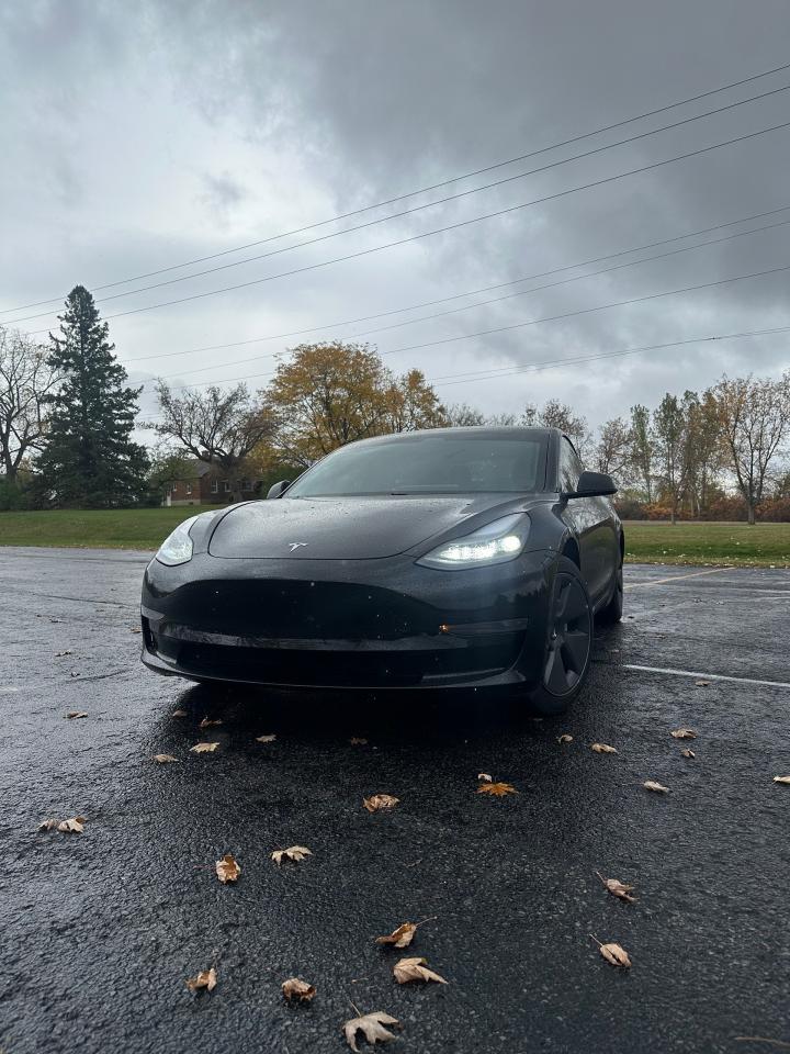2021 Tesla Model 3 STANDARD RANGE PLUS - Photo #2