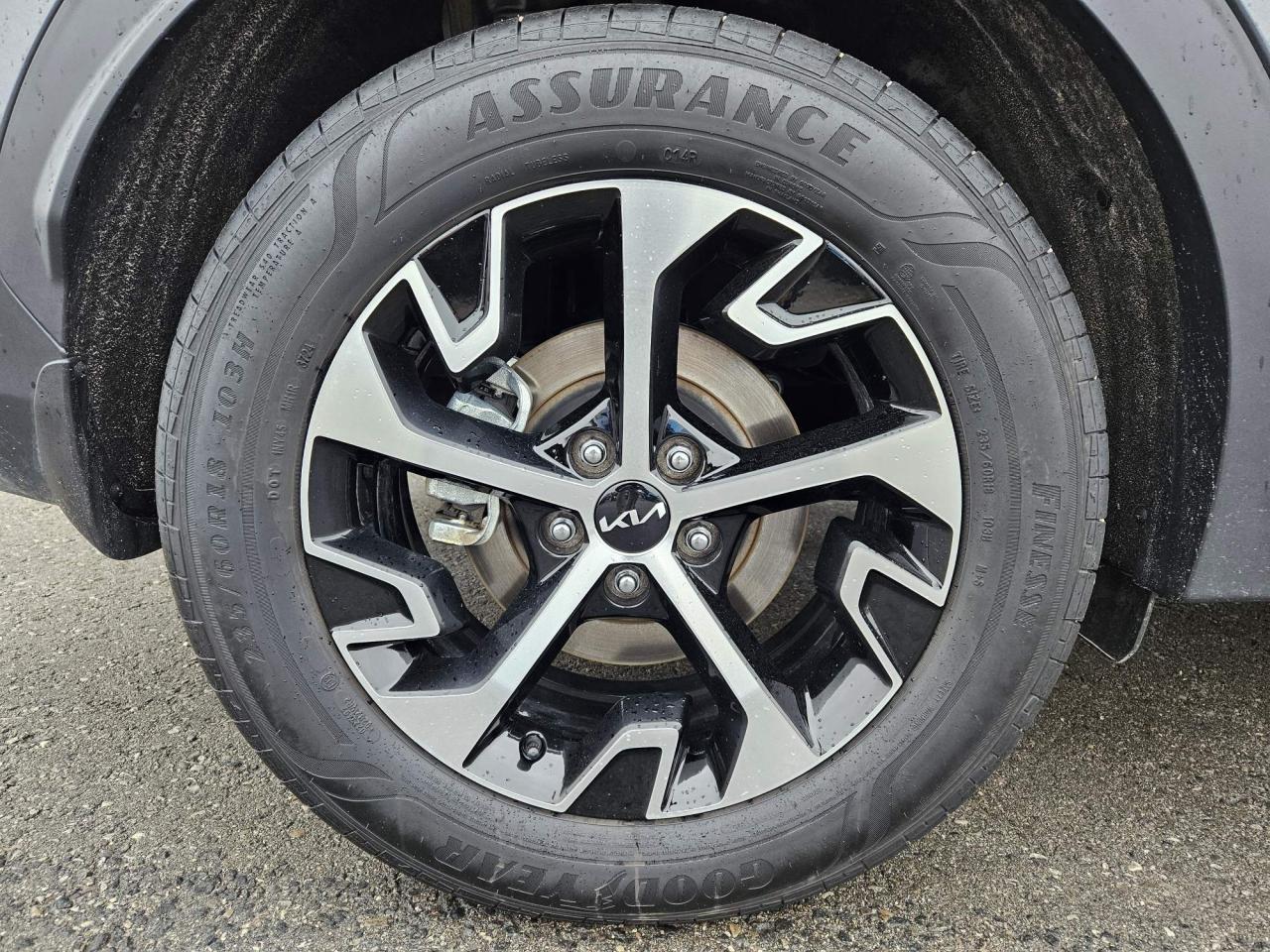 2025 Kia Sportage EX One Owner | AWD | Leather | Navigation | Sunroof | 18" Wheels Photo