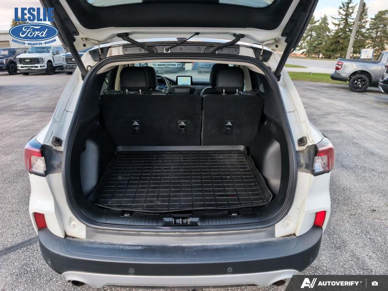 2020 Ford Escape 4DR TIT FHEV Photo