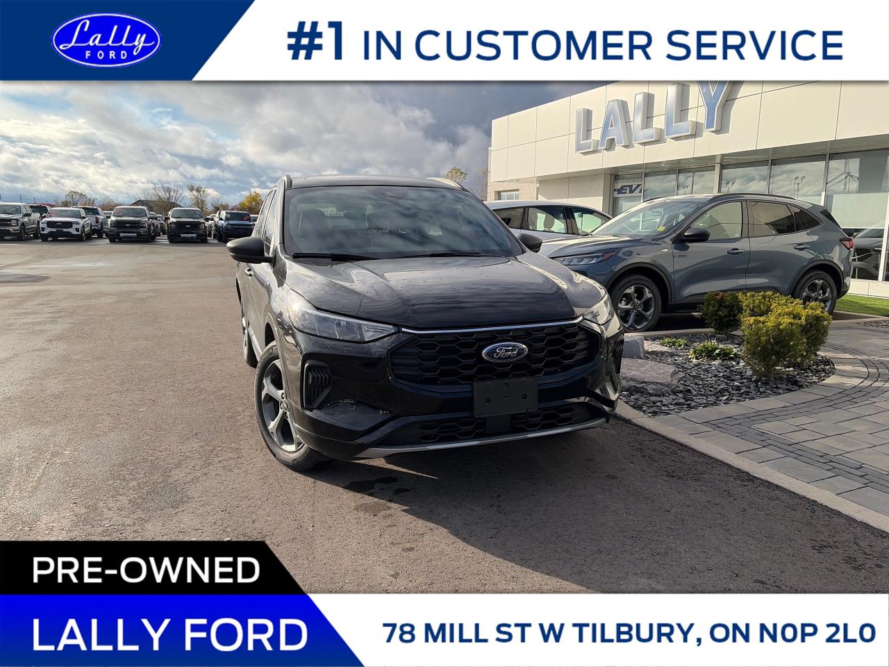 Used 2023 Ford Escape ST-Line AWD, One Owner, Local Trade!! for sale in Tilbury, ON