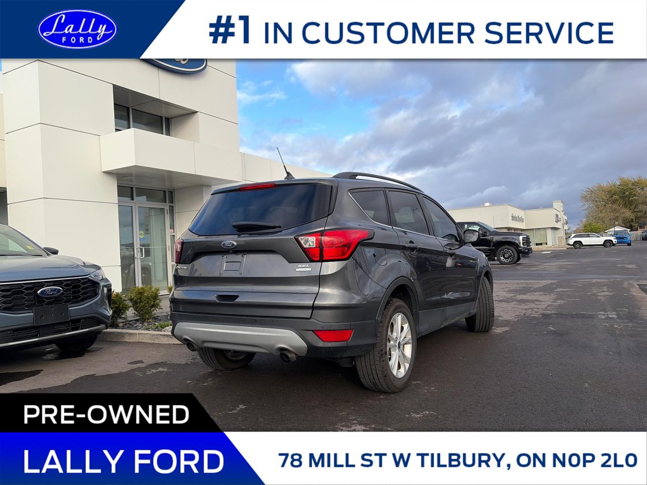 2019 Ford Escape SEL ’s! Photo2