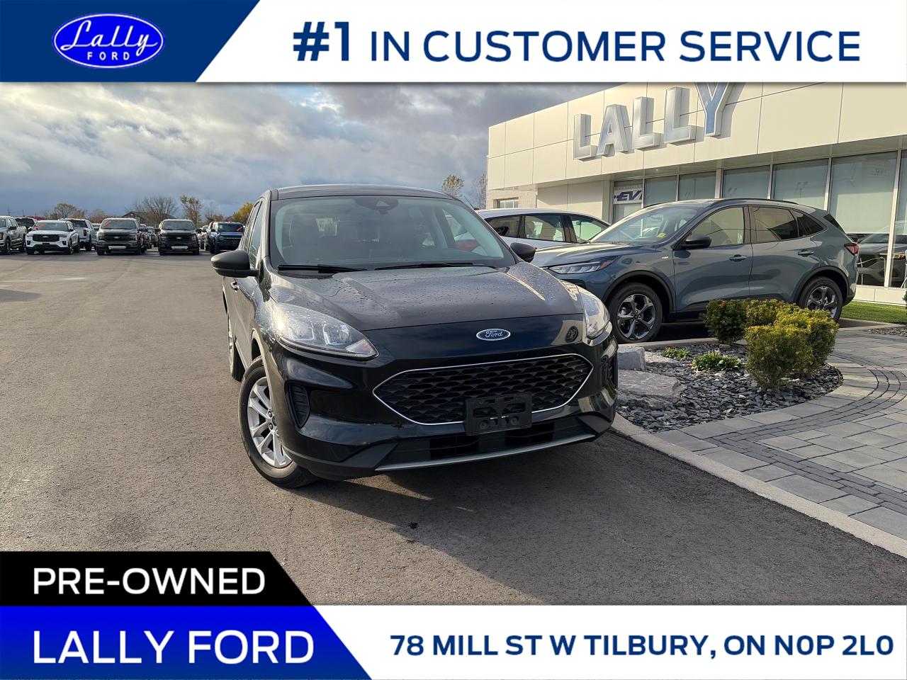 Used 2022 Ford Escape SE Power Lift Gate, One Owner, Local Trade! for sale in Tilbury, ON