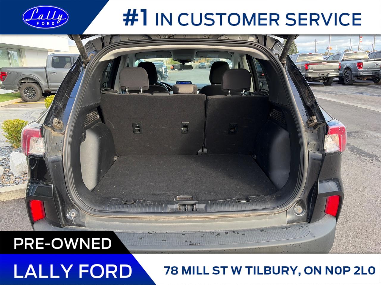 2022 Ford Escape SE Power Lift Gate, One Owner, Local Trade! Photo4