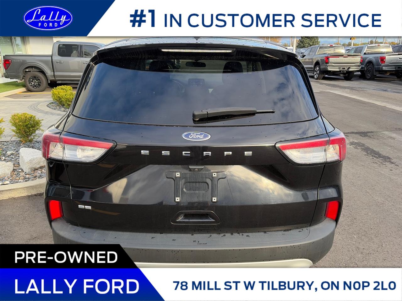 2022 Ford Escape SE Power Lift Gate, One Owner, Local Trade! Photo3